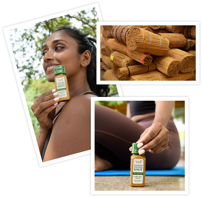 Sweet Wood Pure Cinnamon shots, a woman holding a bottle and bundles of Ceylon cinnamon